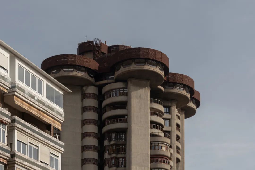 Torres Blancas 有机公寓楼丨西班牙马德里丨Francisco Javier Sáenz de Oiza-22