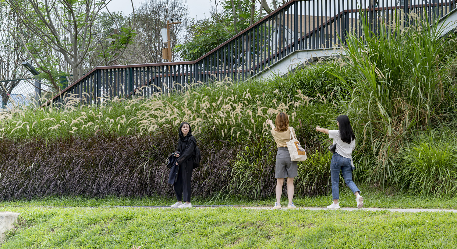 中山大学附属第七医院周边景观焕新项目丨中国深圳丨L&A Design（含多团队）-49