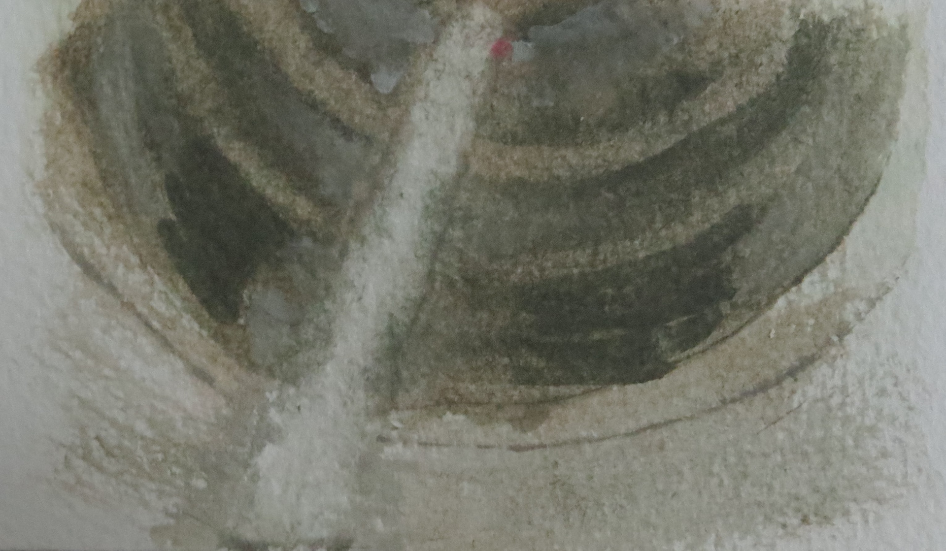 自然元素空间设计-15