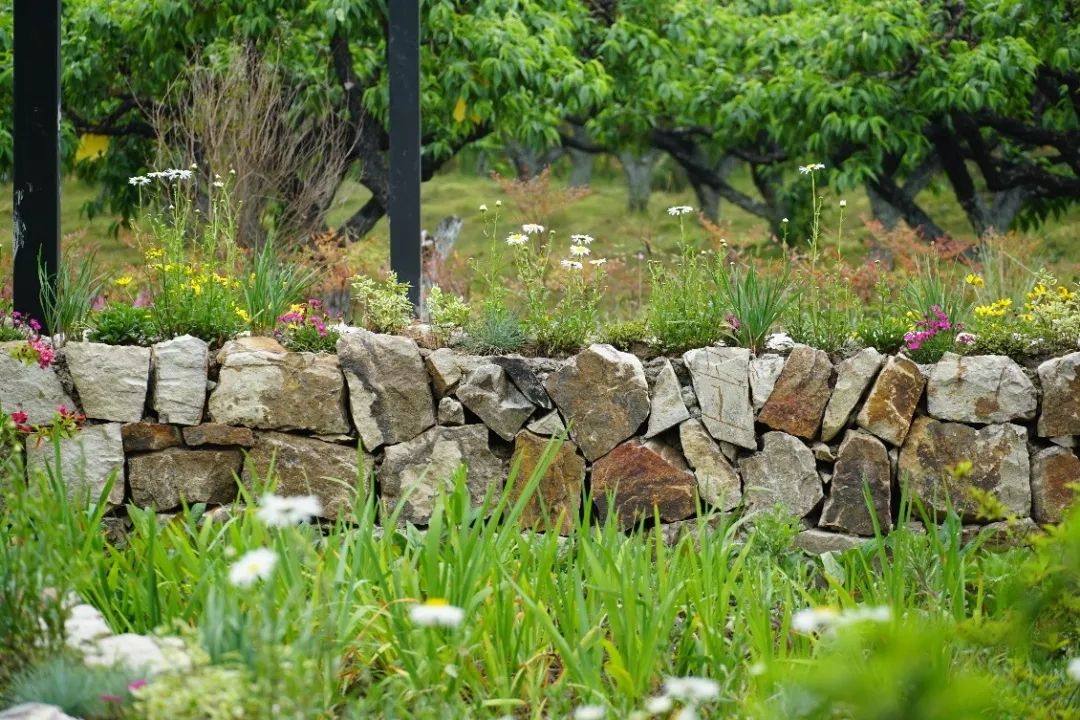 上海吴房村乡村振兴示范村整体规划,建筑,景观,风貌提升设计丨中国上海-165