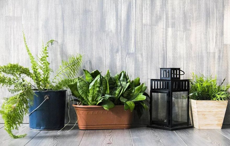 自然主义家居设计 | 释放野性与自然之美-23