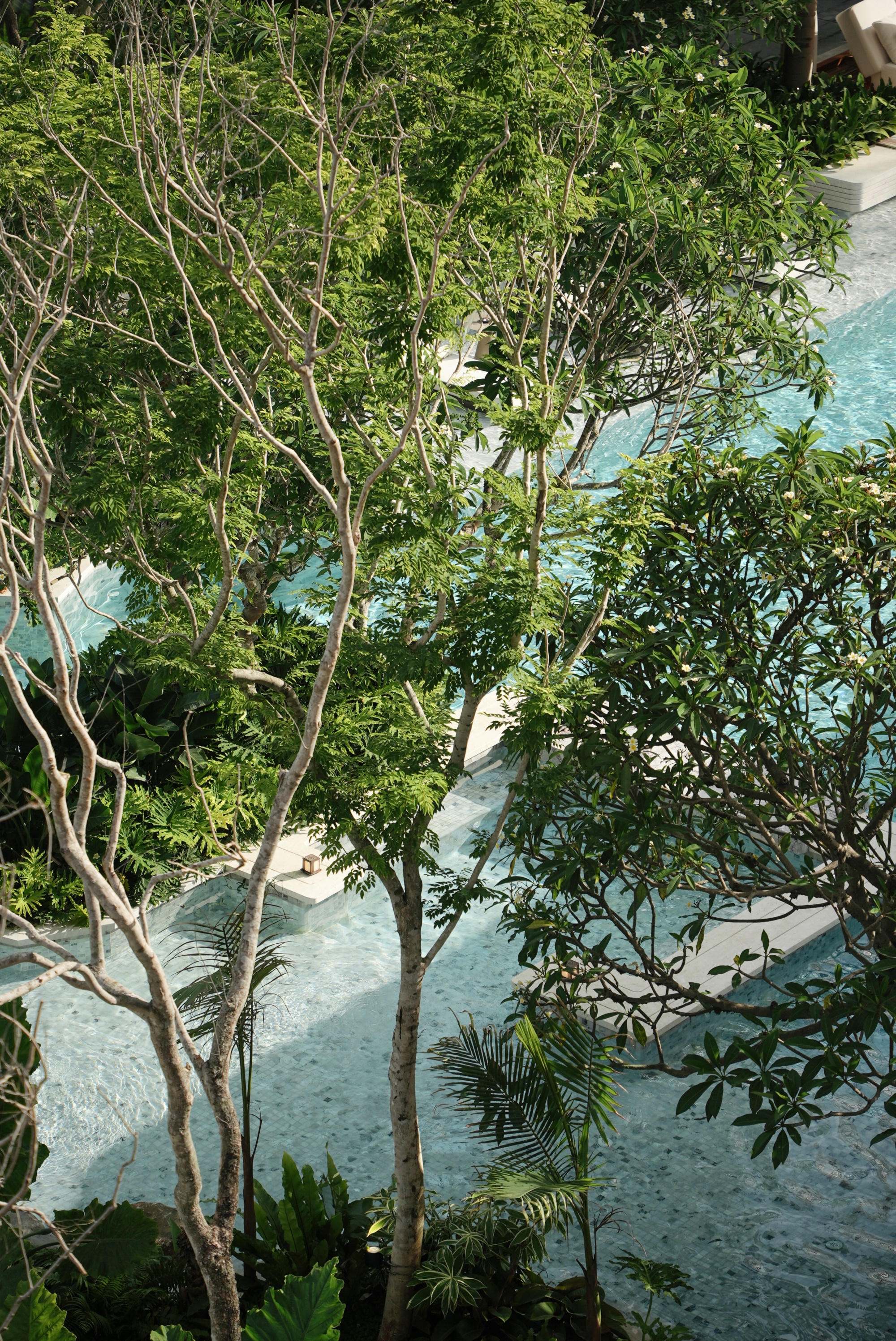 三亚招商·林屿间丨中国三亚丨成都麦微景观建筑事务所-131