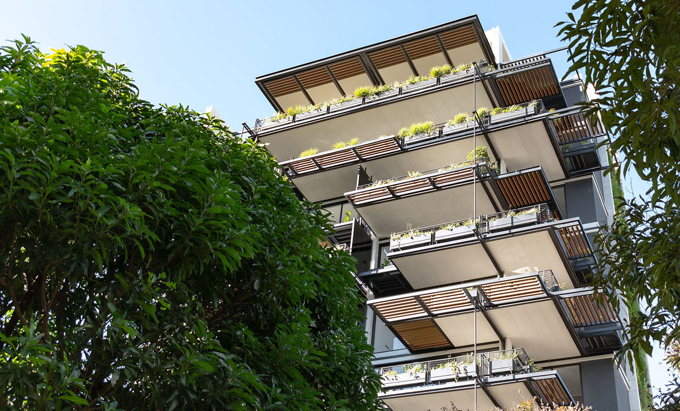 栀子丨哥斯达黎加圣何塞丨Studio Saxe-52