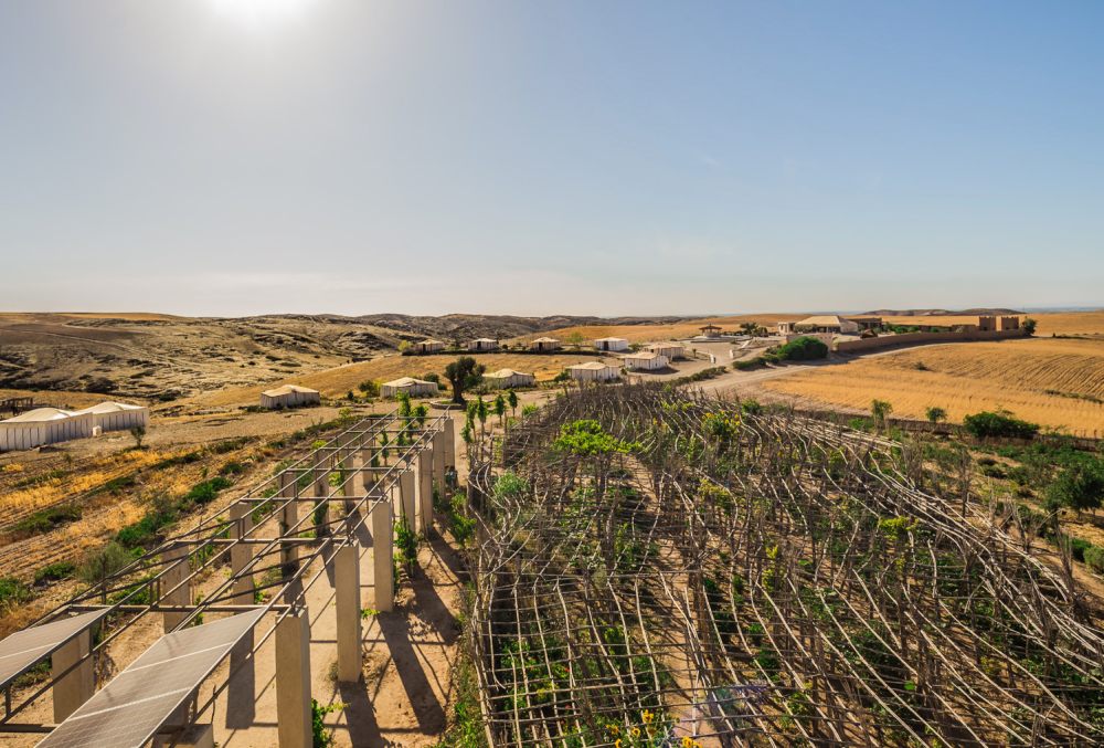 Terre des étoiles 生态度假天堂丨摩洛哥马拉喀什丨多位设计师-12