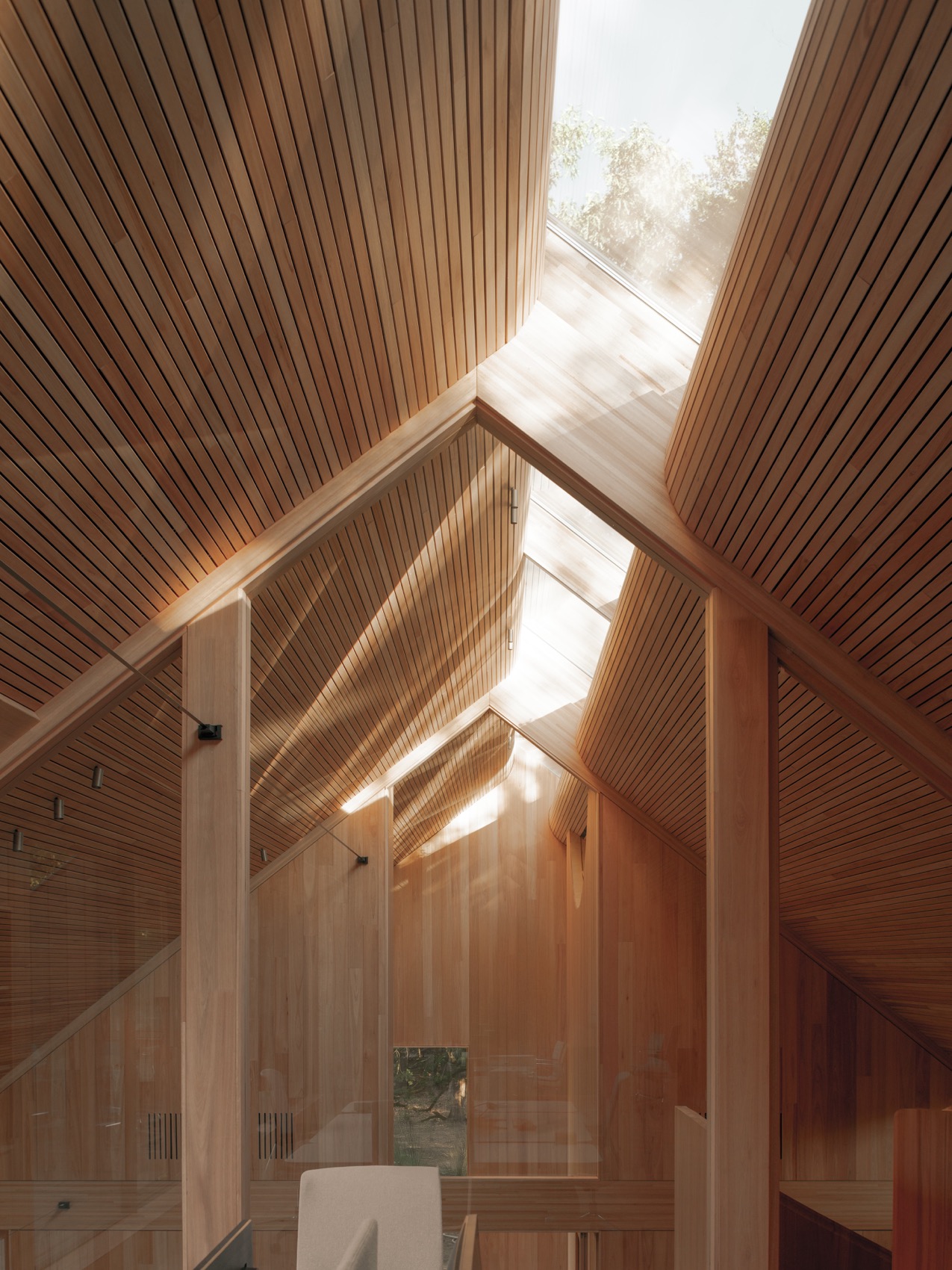 自然中的办公空间  Tafelberg办公楼丨荷兰丨Studio Massimo（阿姆斯特丹）-13