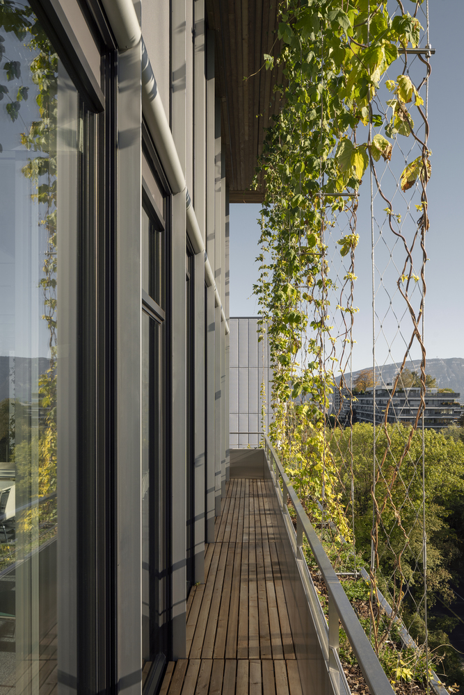 Doctors Without Borders 总部丨瑞士日内瓦丨Sauerbruch Hutton-48