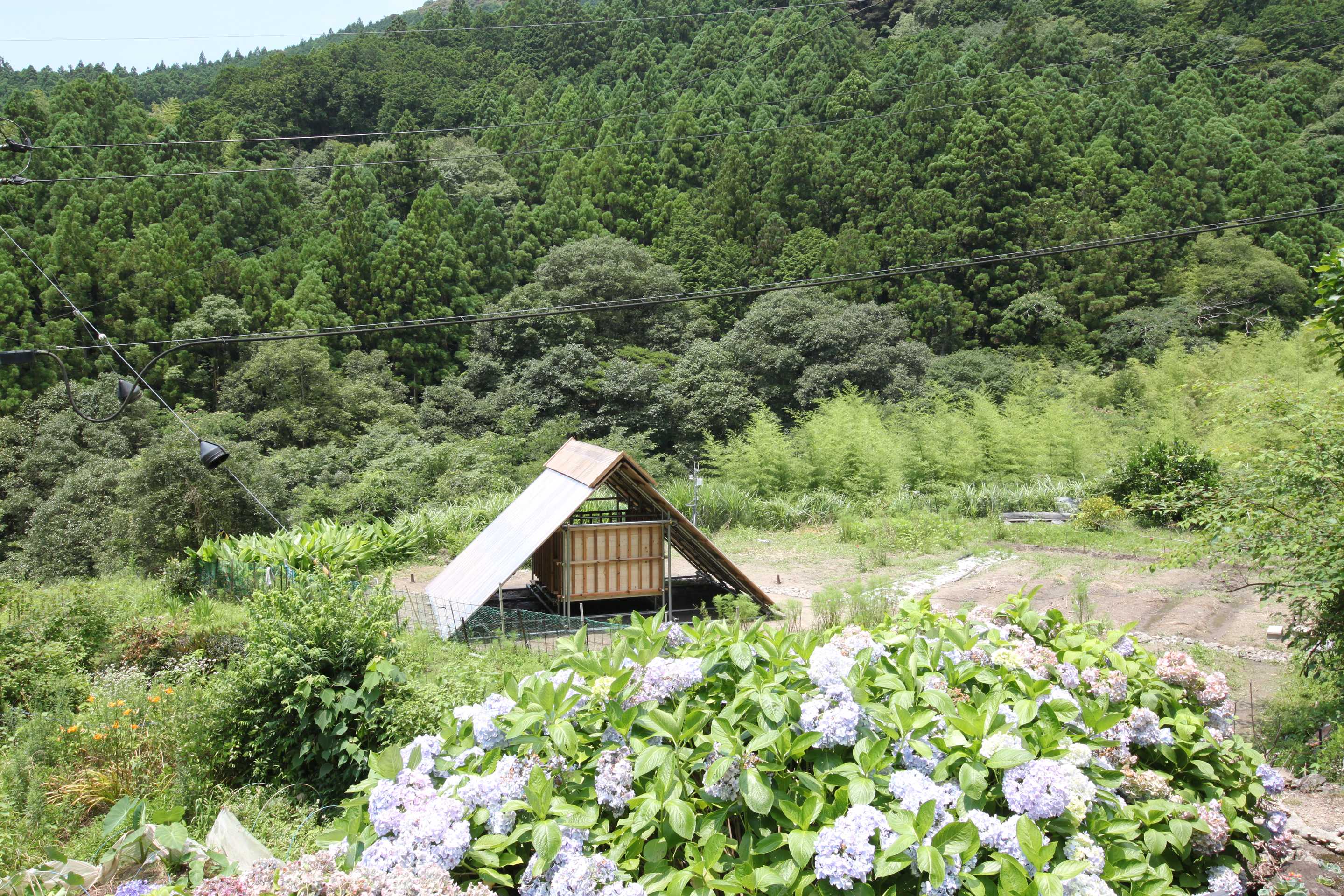 日本荒村自建神道神社，钢管木板创造神圣空间-0