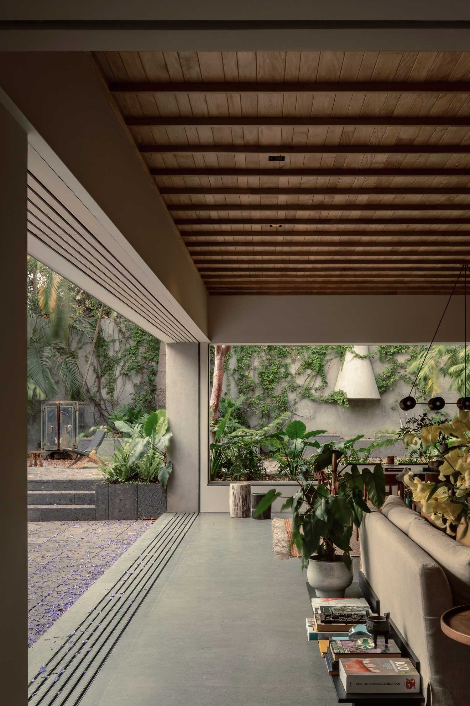 墨西哥CASA MOLUSCO PANTERA住宅-13