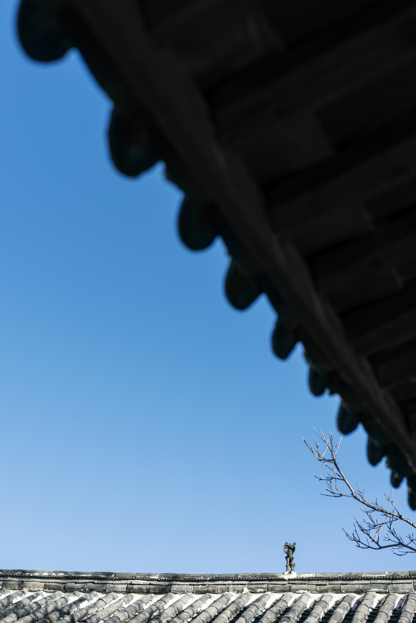 尚壹扬 谢柯设计 | 無白酒店-6