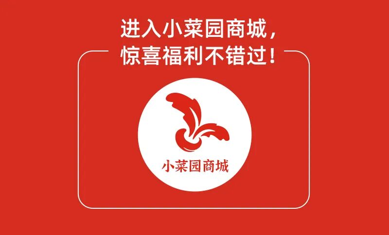 小菜园|十二周年庆|260000+张刮刮乐，百分百中奖！-10