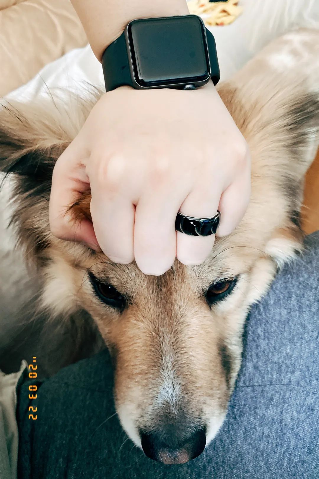 《温柔时刻》买家秀,分享生活中的美好瞬间-117