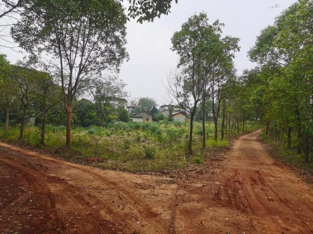 南昌安义县上岗村乡村振兴示范村丨中国南昌丨上海悉迅景观设计咨询事务所-13