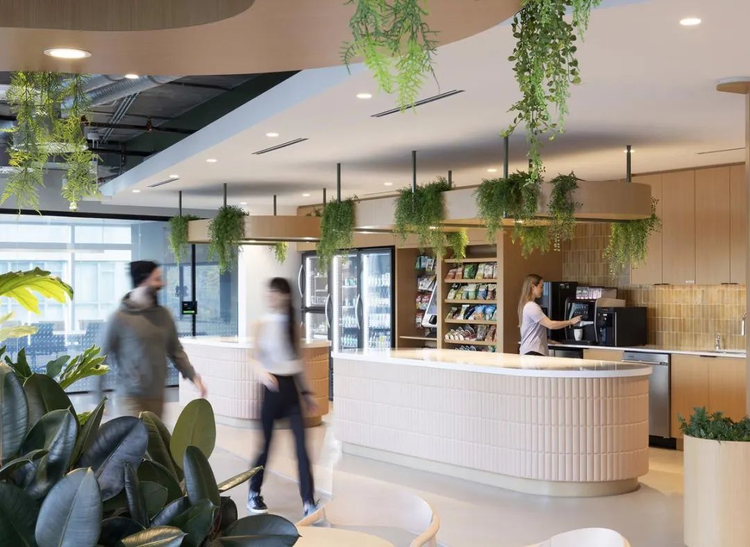 Lululemon 温哥华办公室丨加拿大温哥华丨Clive Wilkinson Architects-8