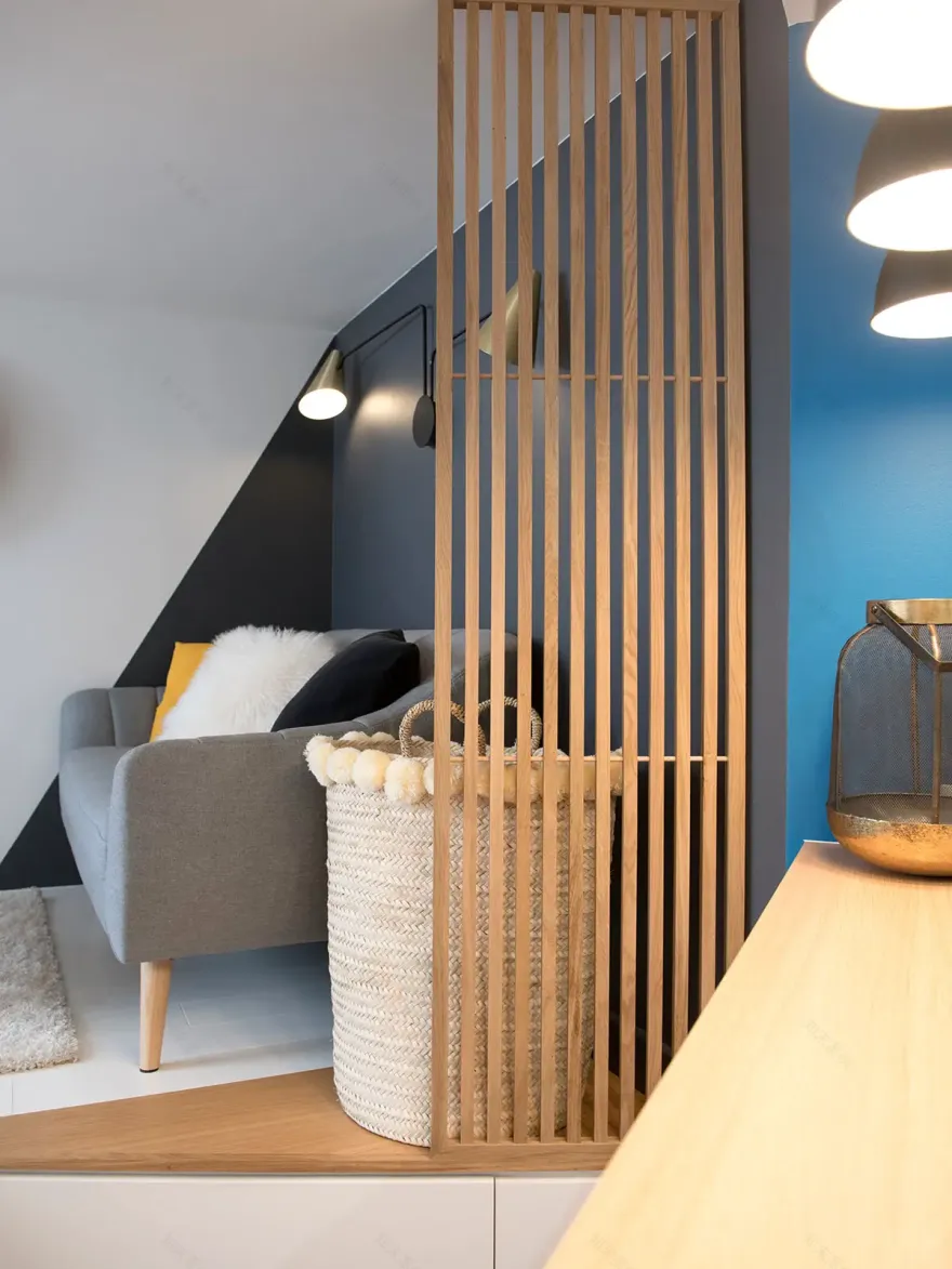 巴黎 20m2 公寓隐藏巧妙床铺设计-6