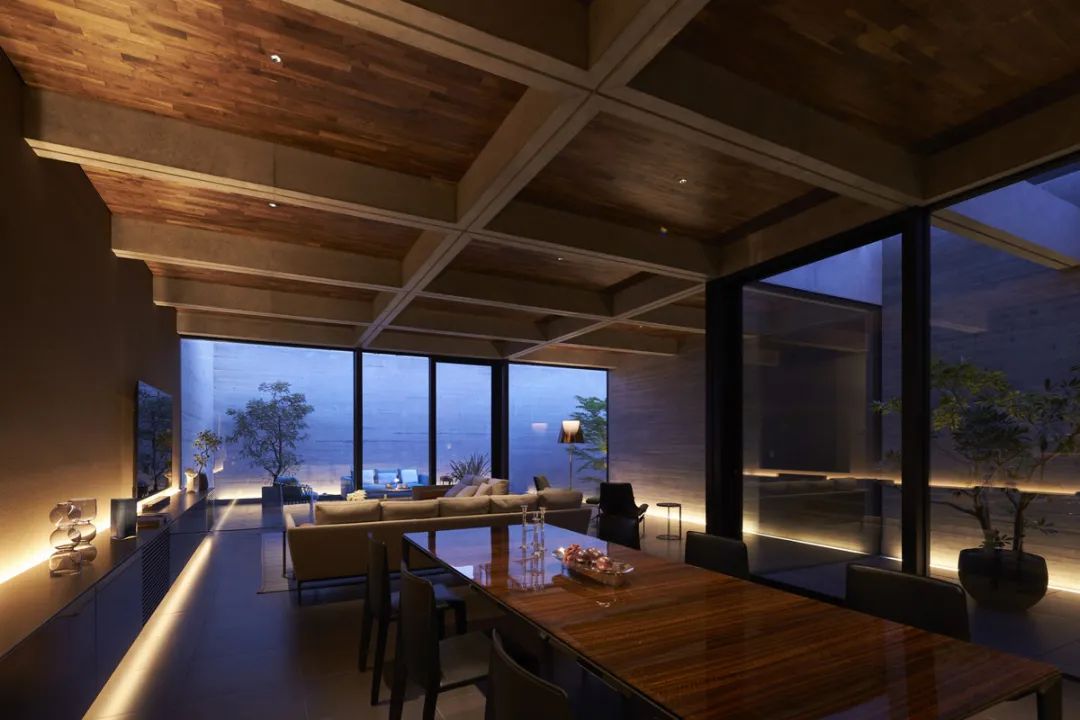 日本野兽派庭院住宅-24