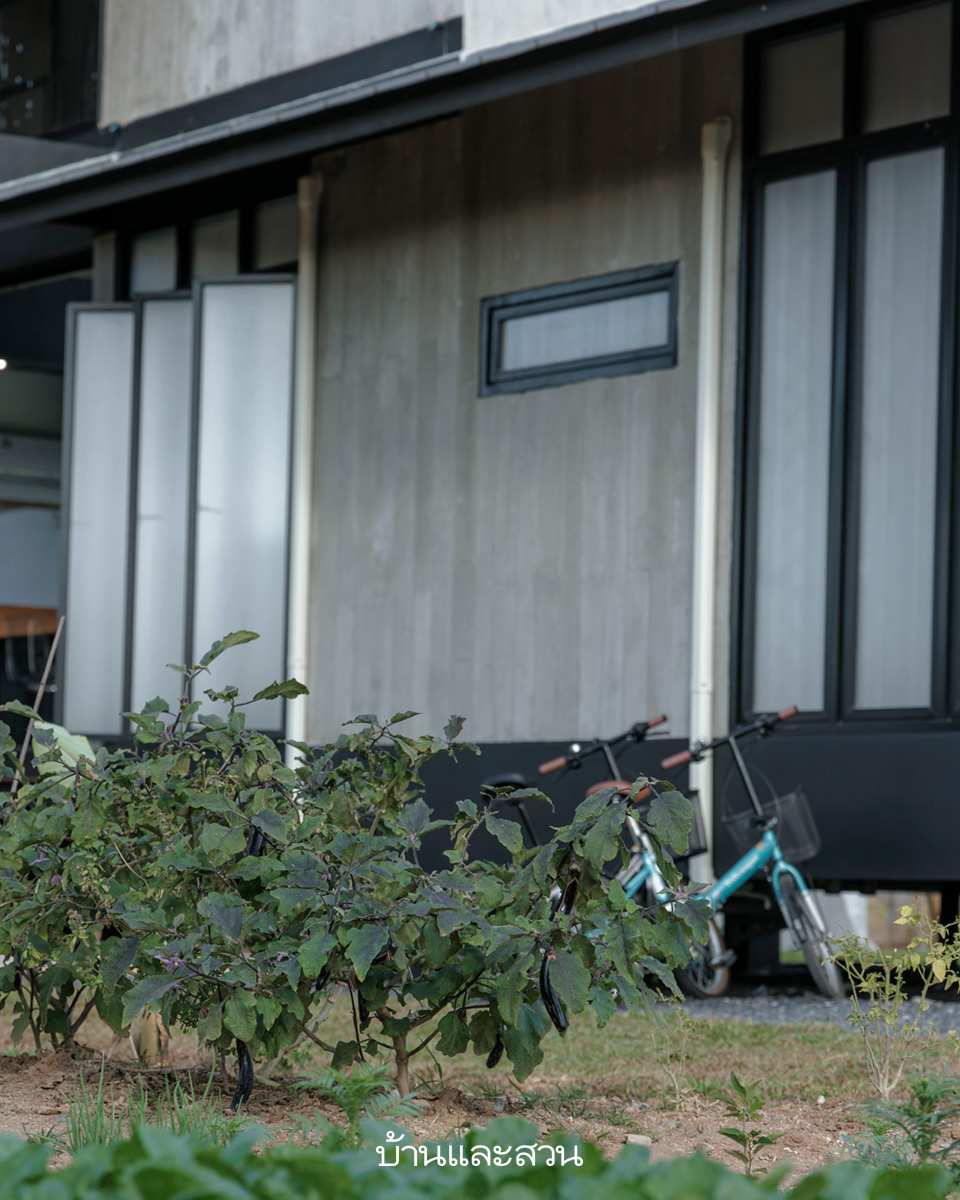 บ้านฟาร์มหลังเกษียณ ที่กลายเป็นโฮมสเตย์ ปลูกผักกินเอง - บ้านและสวน-14
