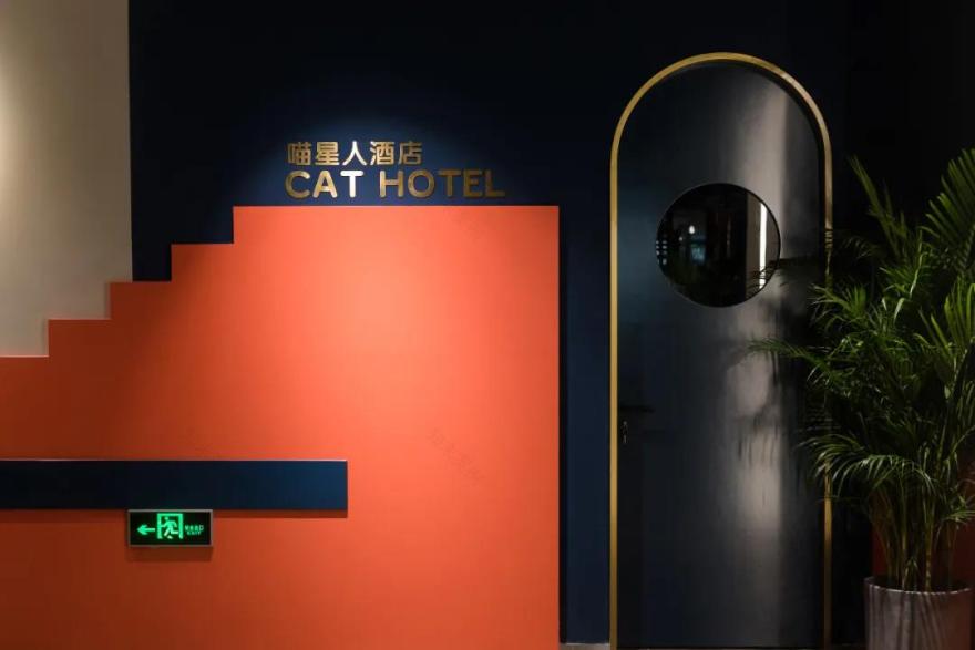 极宠家丨中国南京丨未本空间团队-53