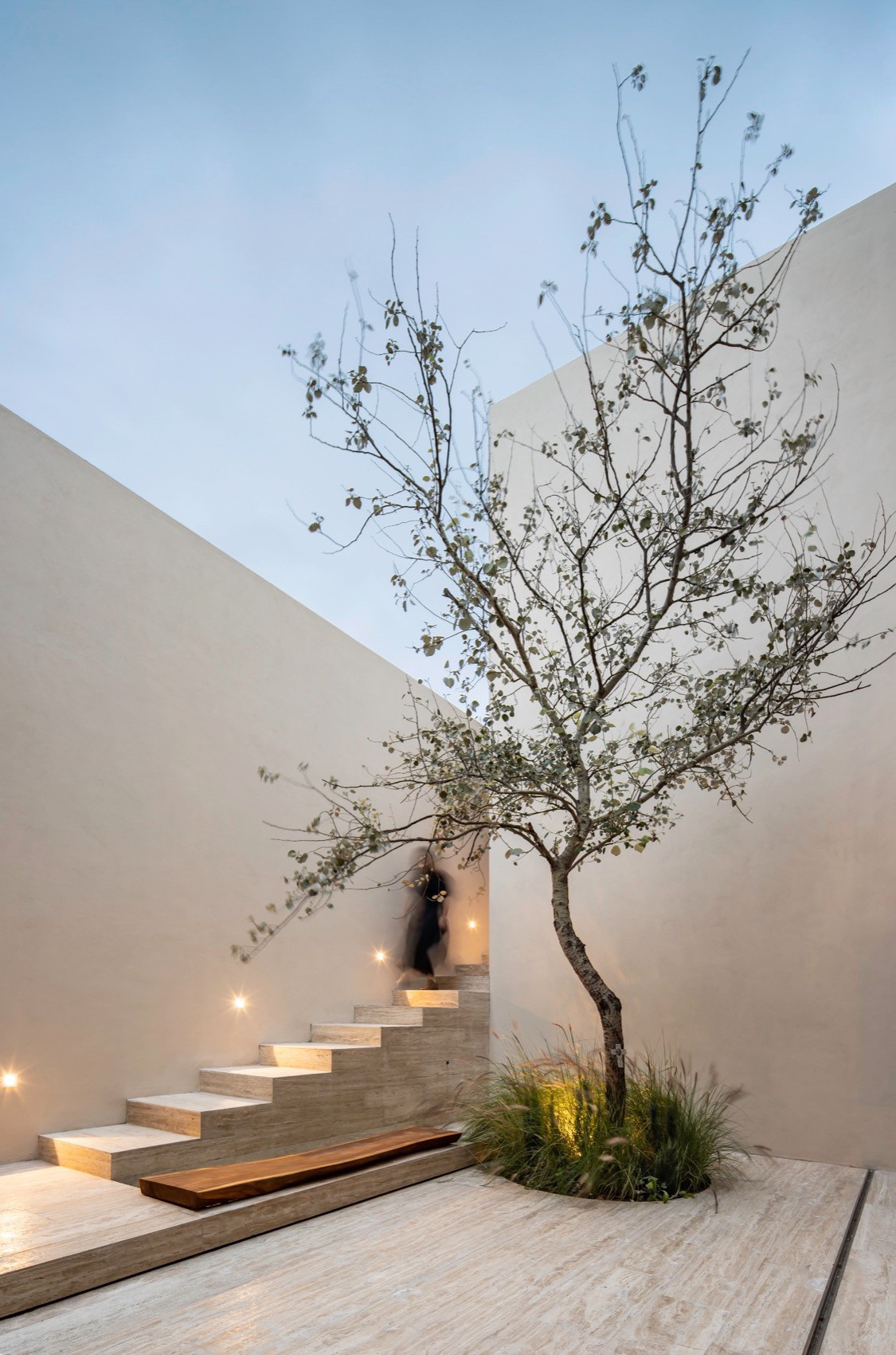 Sabino 10 住宅丨墨西哥丨Editorial-67