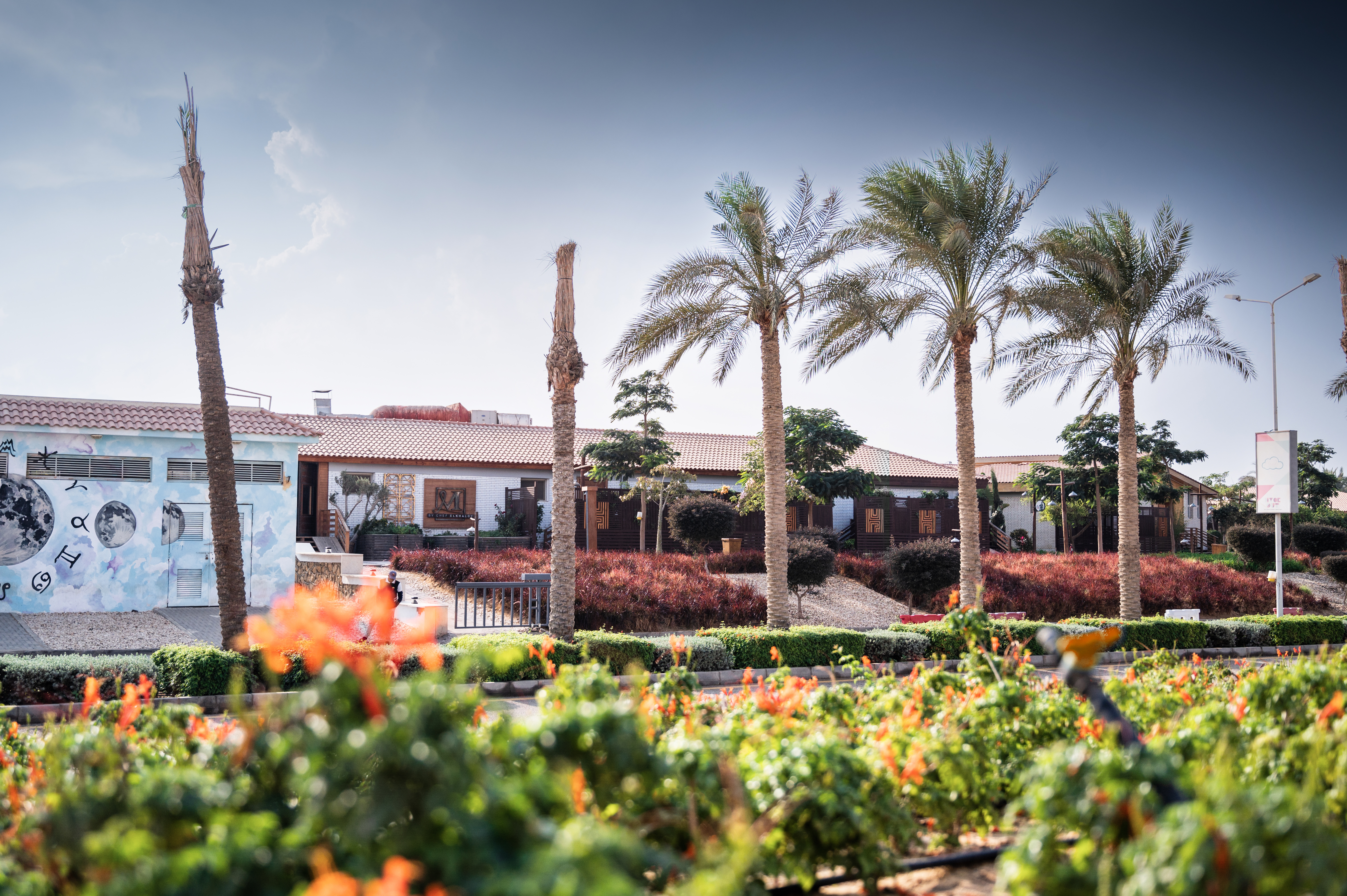 Hydeout 商业空间丨埃及开罗-24