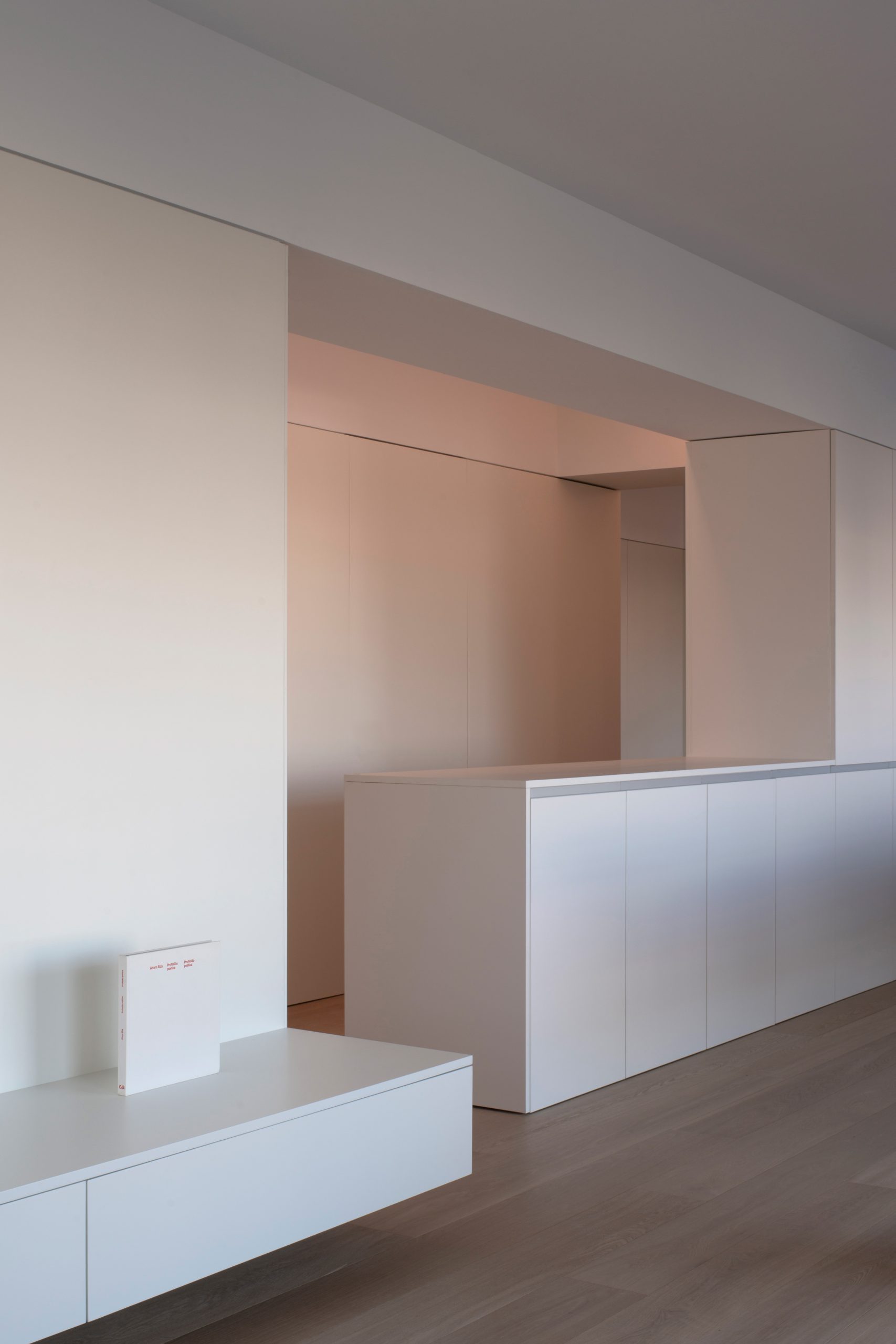 Orihuela住宅改造项目丨西班牙丨Balzar Arquitectos-18