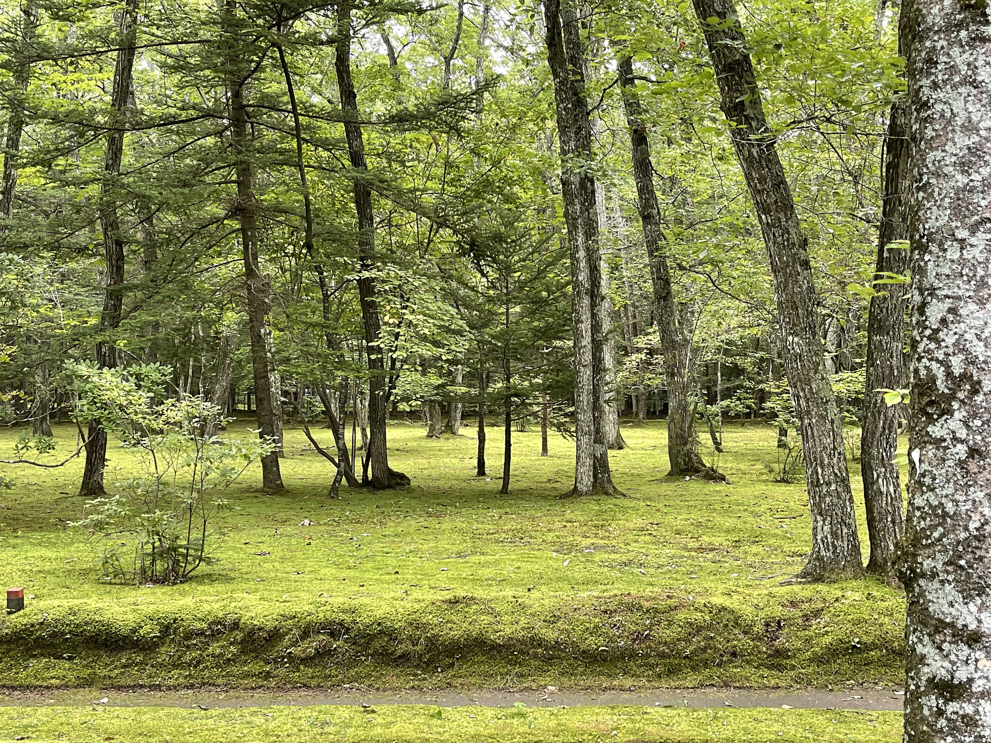 丨日本丨Cell Space Architects-31