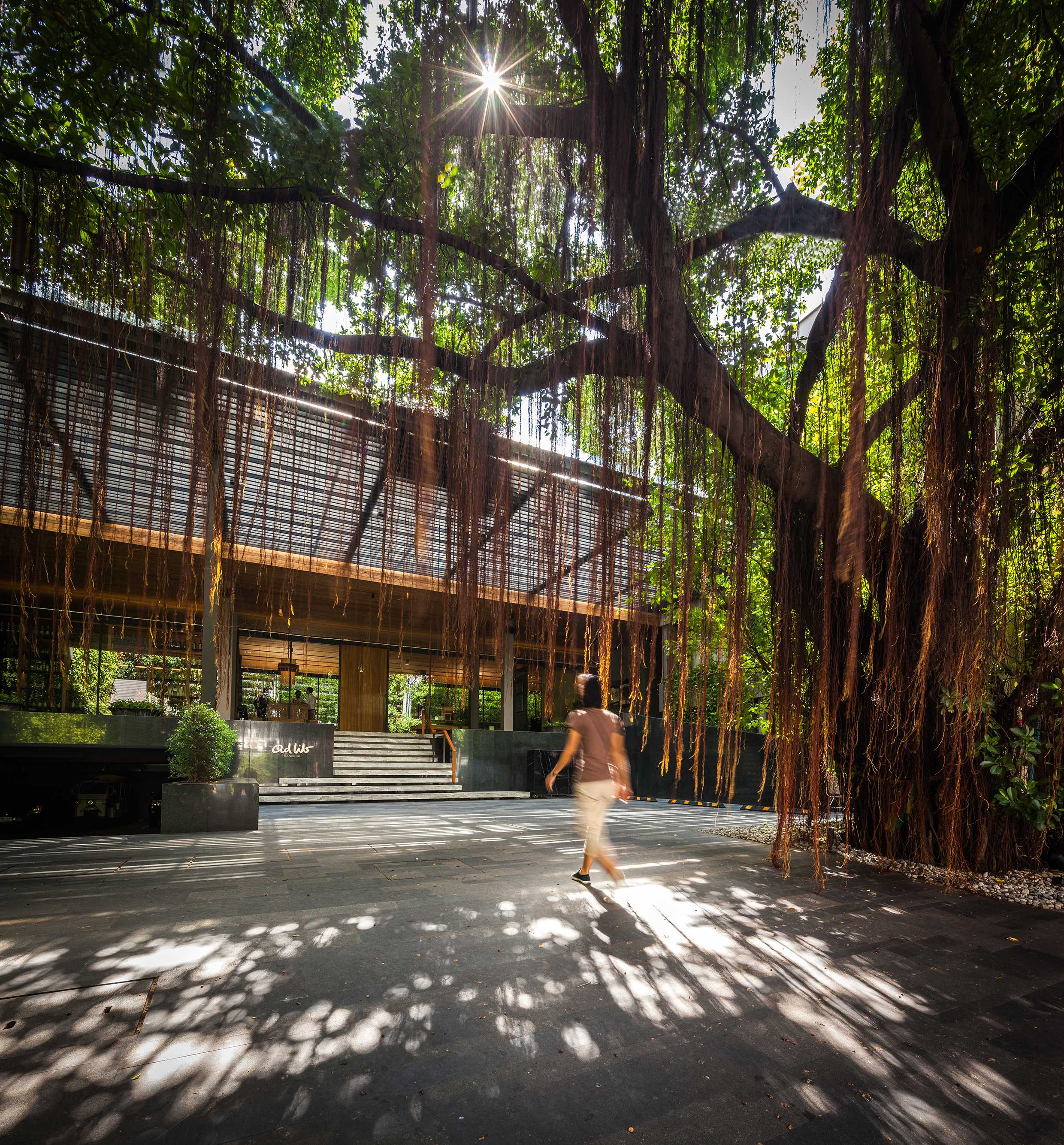 曼谷繁华区的绿色秘境 | 榕树下的 Ad Lib 酒店花园-12