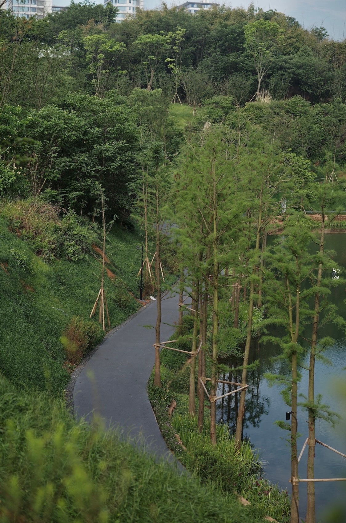 麓野公园丨中国成都丨四川乐道景观设计有限公司-215