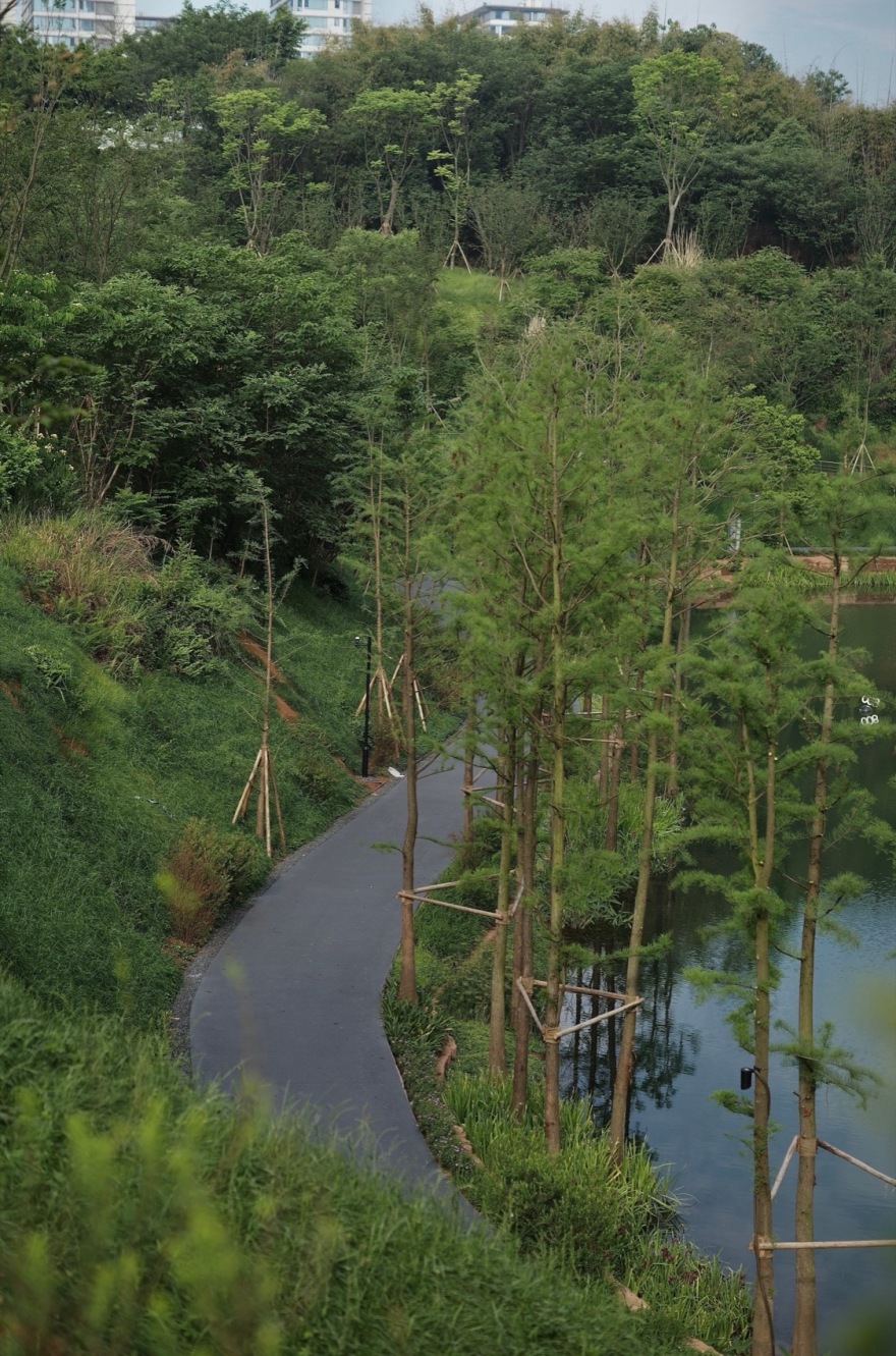 麓野公园丨中国成都丨四川乐道景观设计有限公司-215