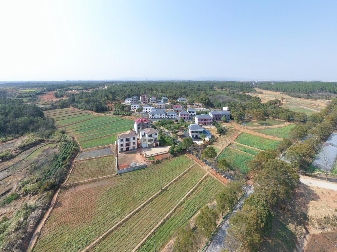 南昌安义县上岗村乡村振兴示范村丨中国南昌丨上海悉迅景观设计咨询事务所-108