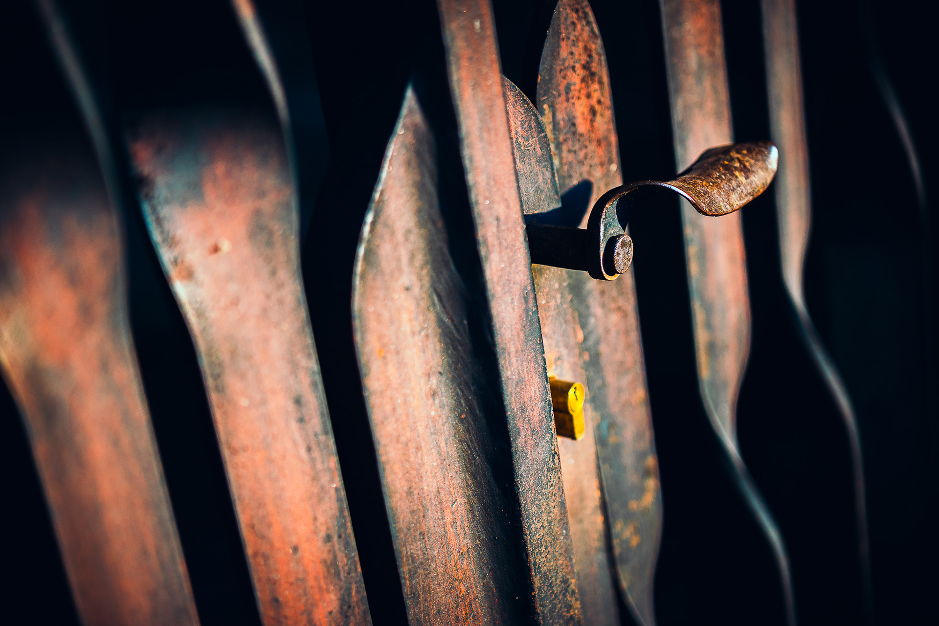 摄影作品丨作者本人-4