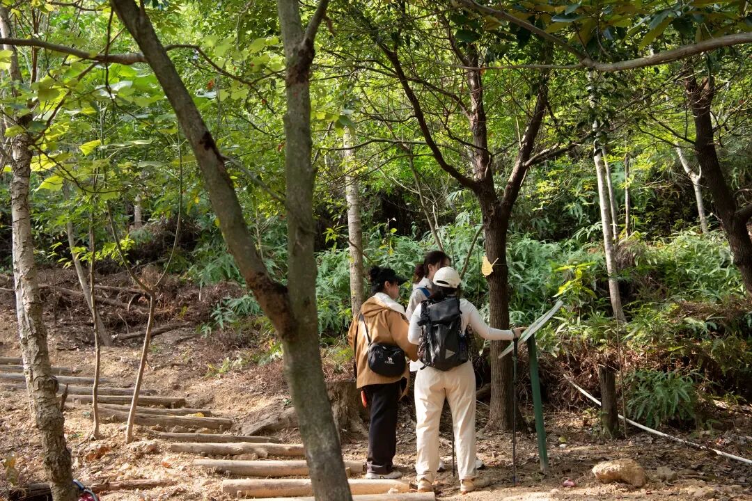 未名新作|山野有乾坤都市藏鲲鹏-深圳山海连城计划罗湖区东湖公园郊野径-莲塘口岸线-92