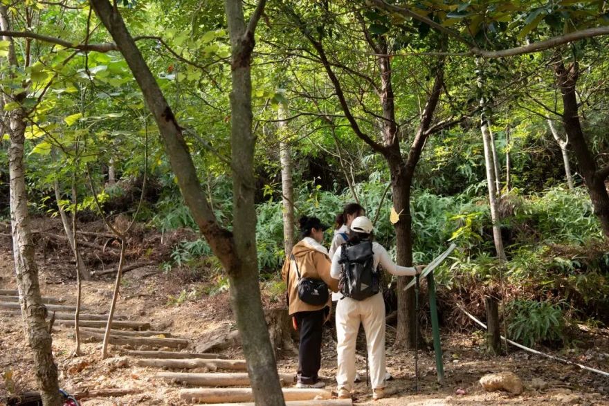 未名新作|山野有乾坤都市藏鲲鹏-深圳山海连城计划罗湖区东湖公园郊野径-莲塘口岸线-92