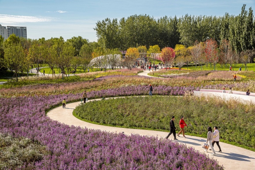 花漾之境:北小河公园樱花谷环境改造提升设计丨中国北京丨埊木设计(CAFA·A城市艺术创新中心)-34