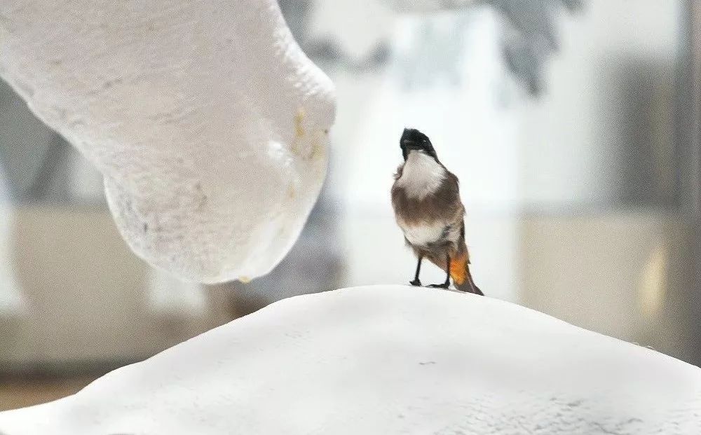 光明六时辰——现代简约风住宅  石头兄弟-113