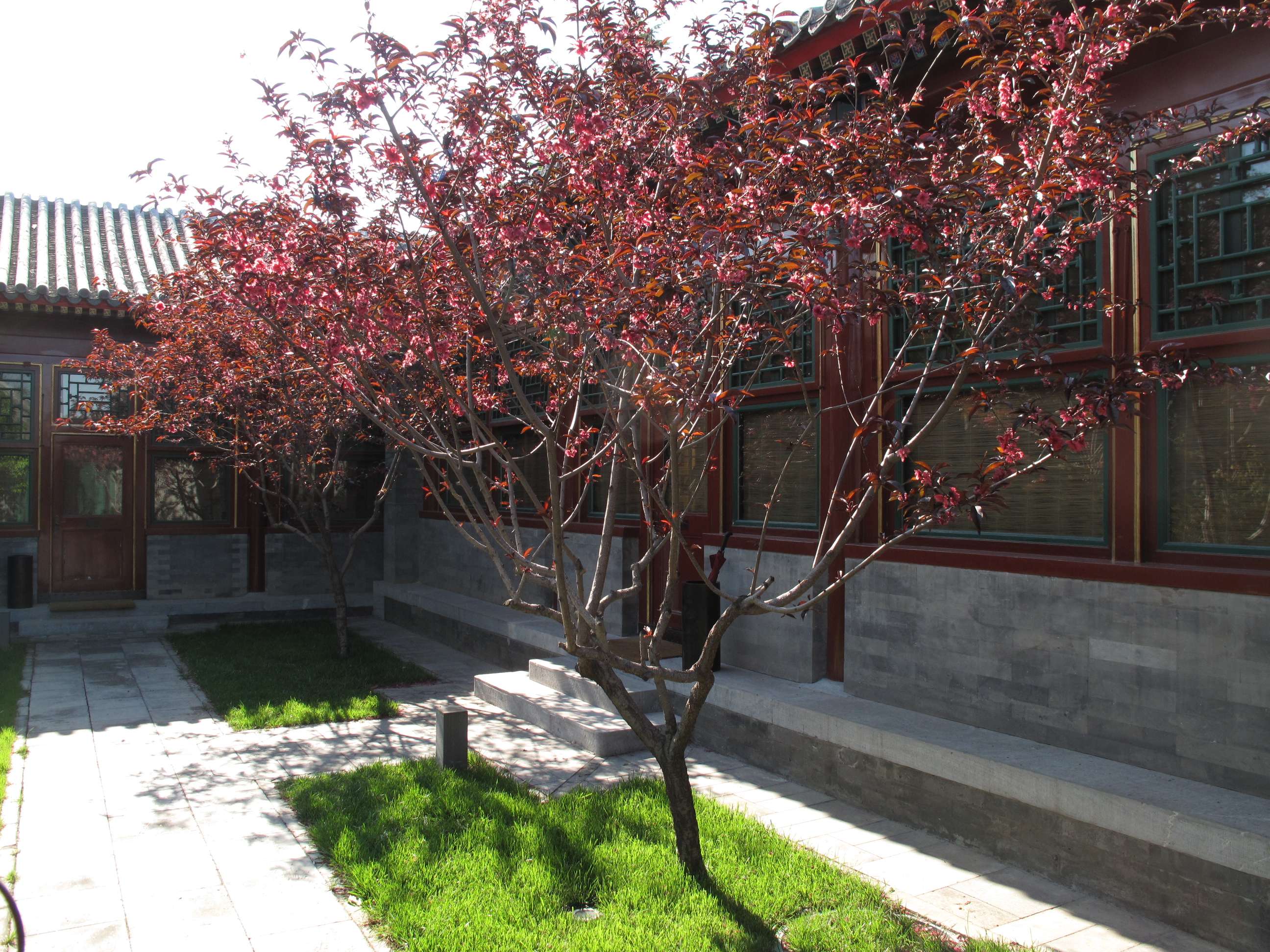 JAYA  北京安曼颐和酒店-2-32