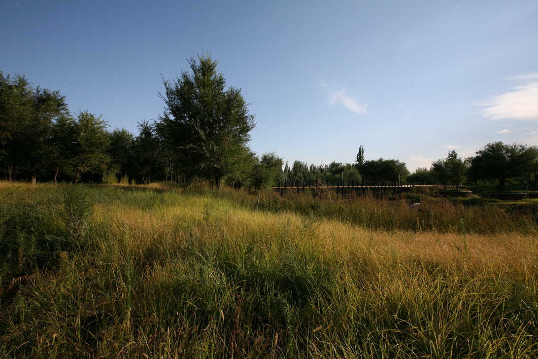 新疆博乐人民公园改造-79