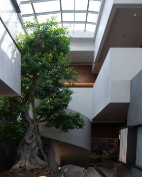 新周记·粤宴丨中国滨州丨杭州平行餐饮空间设计