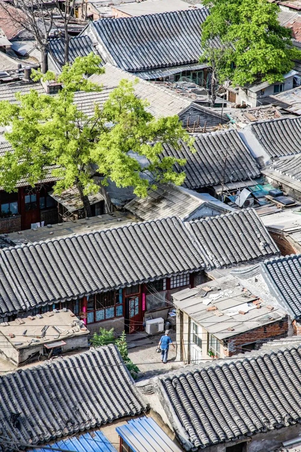 微·设汇 第137期-11