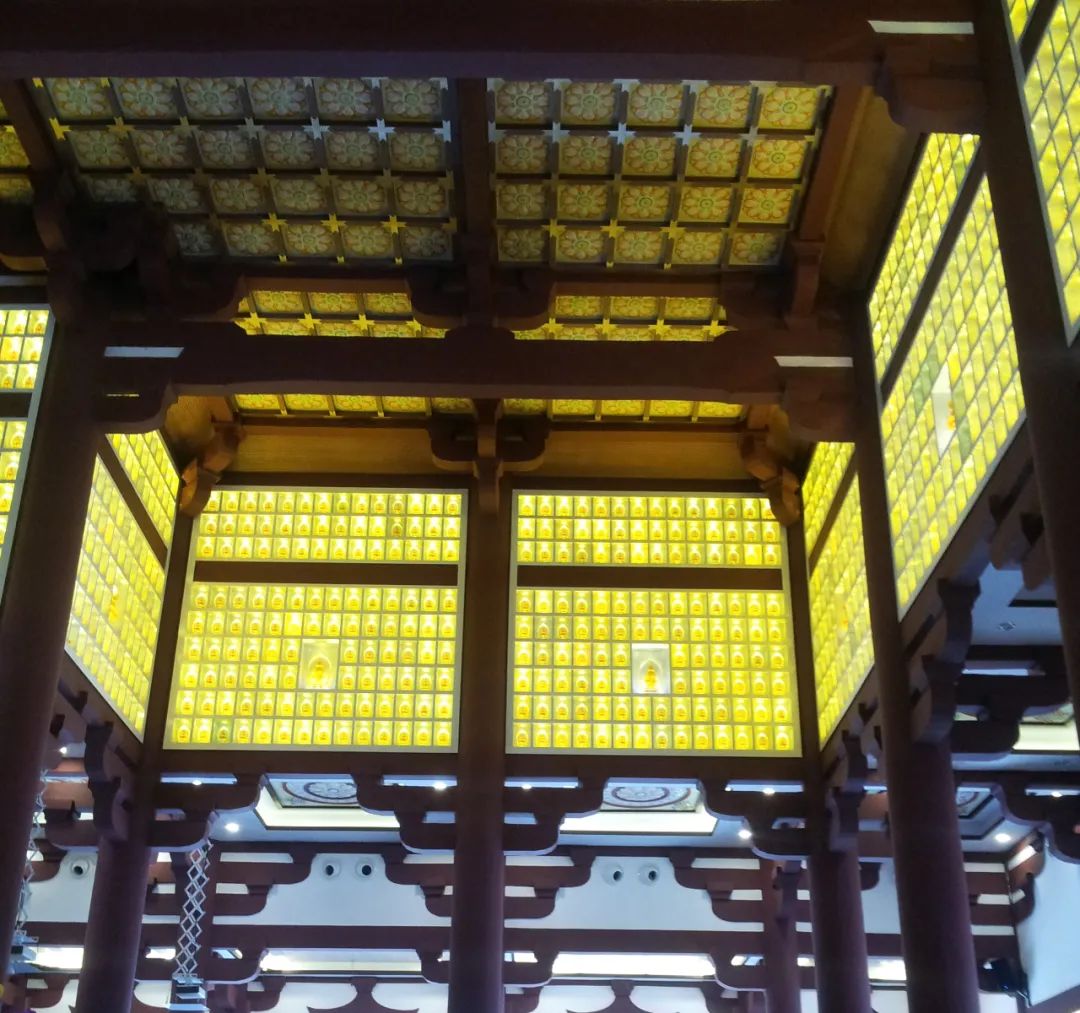 陈少群 | 室内设计中的自然、环保与健康-78