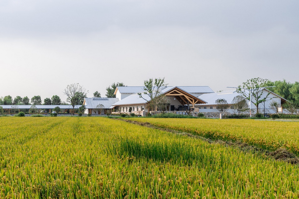 张马游客中心，上海 / 致正建筑工作室-17