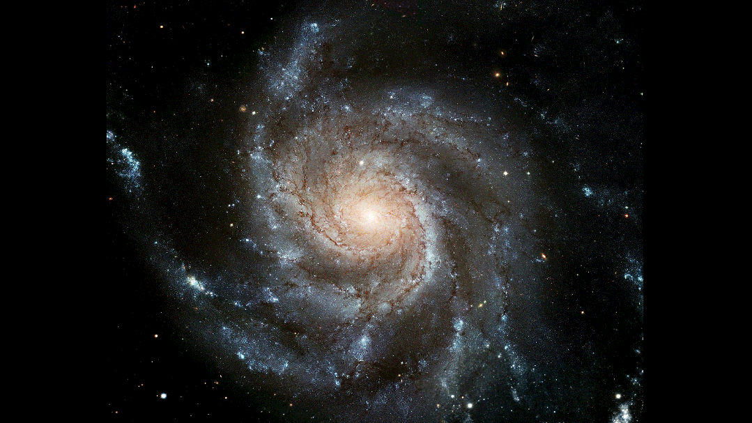 “镜像”世界的空间设计-30