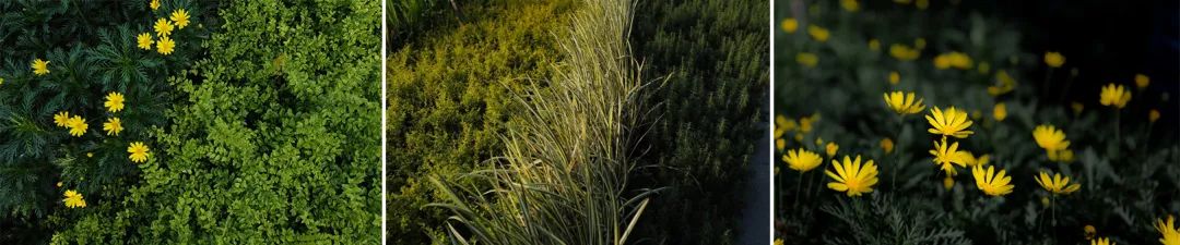 绿色生态虹桥万创中心，打造自然•“家”办公环境-81