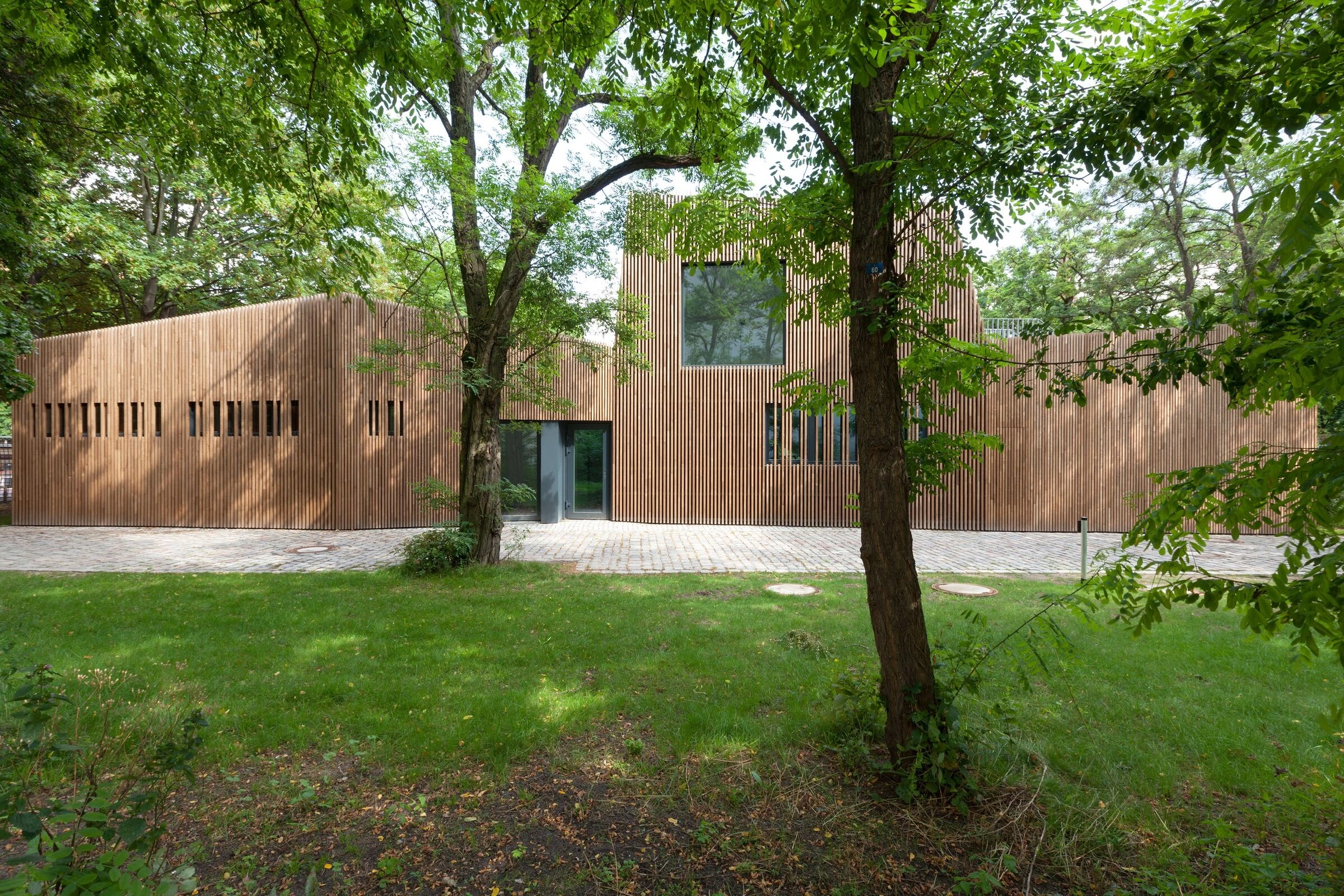 柏林École Voltaire 学校咖啡厅-10