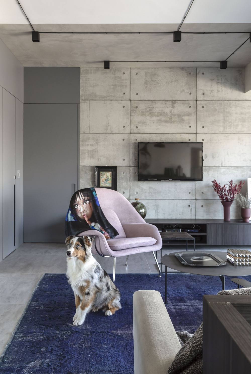 巴西坎波贝洛公寓现代风格设计-19