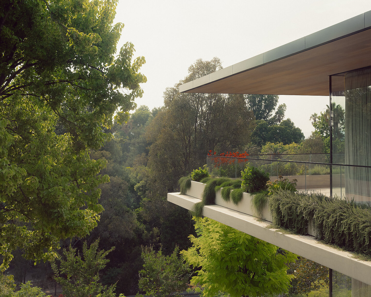 别墅丨澳大利亚丨Rob Mills Architecture Interiors-15