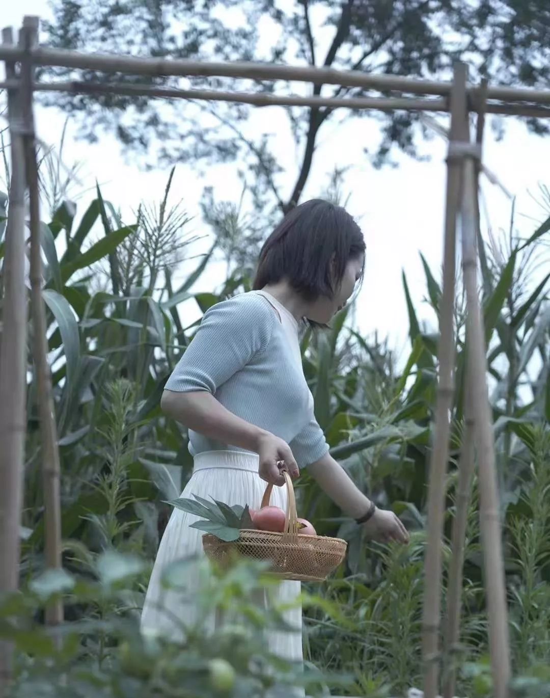 穿过喧嚣 走进时光·来高淳东坝看美丽乡村-68