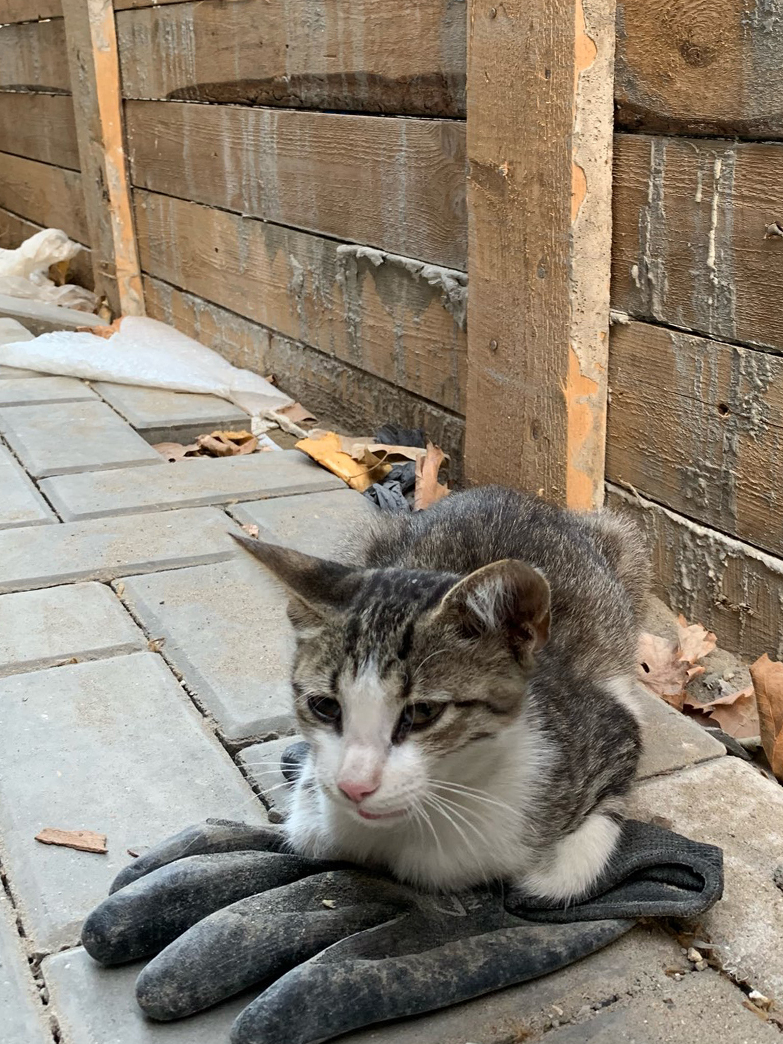 OCEANICA 海鲜餐厅丨俄罗斯马哈奇卡拉丨STUDIO SOO 等-21