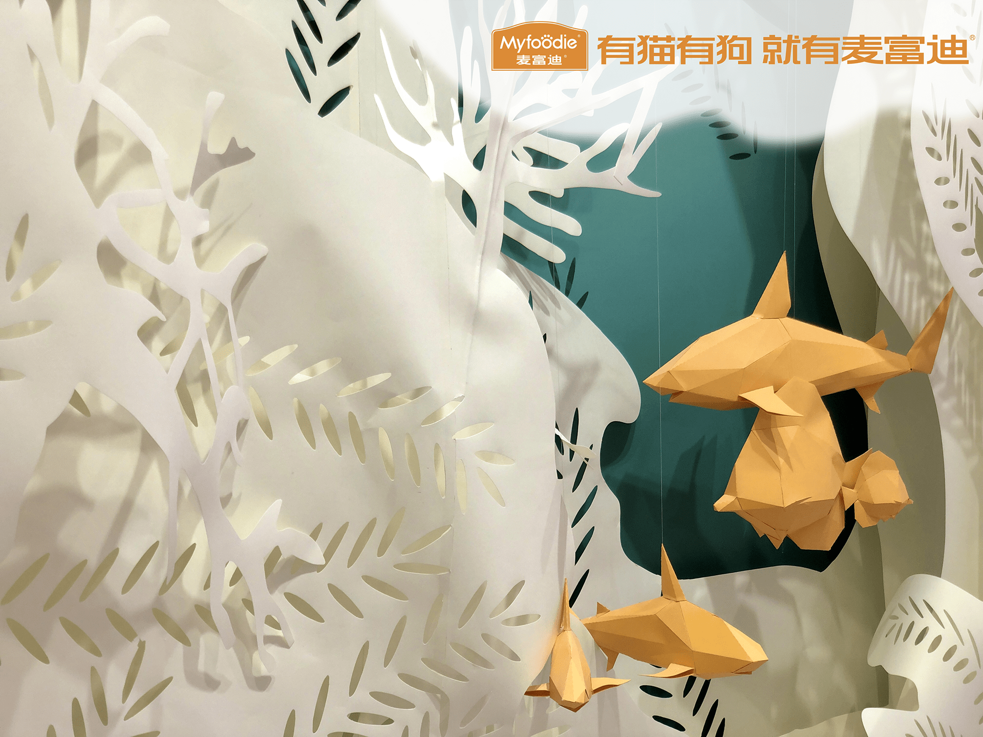 Pet fair Asia 2019 Myfoodie-19