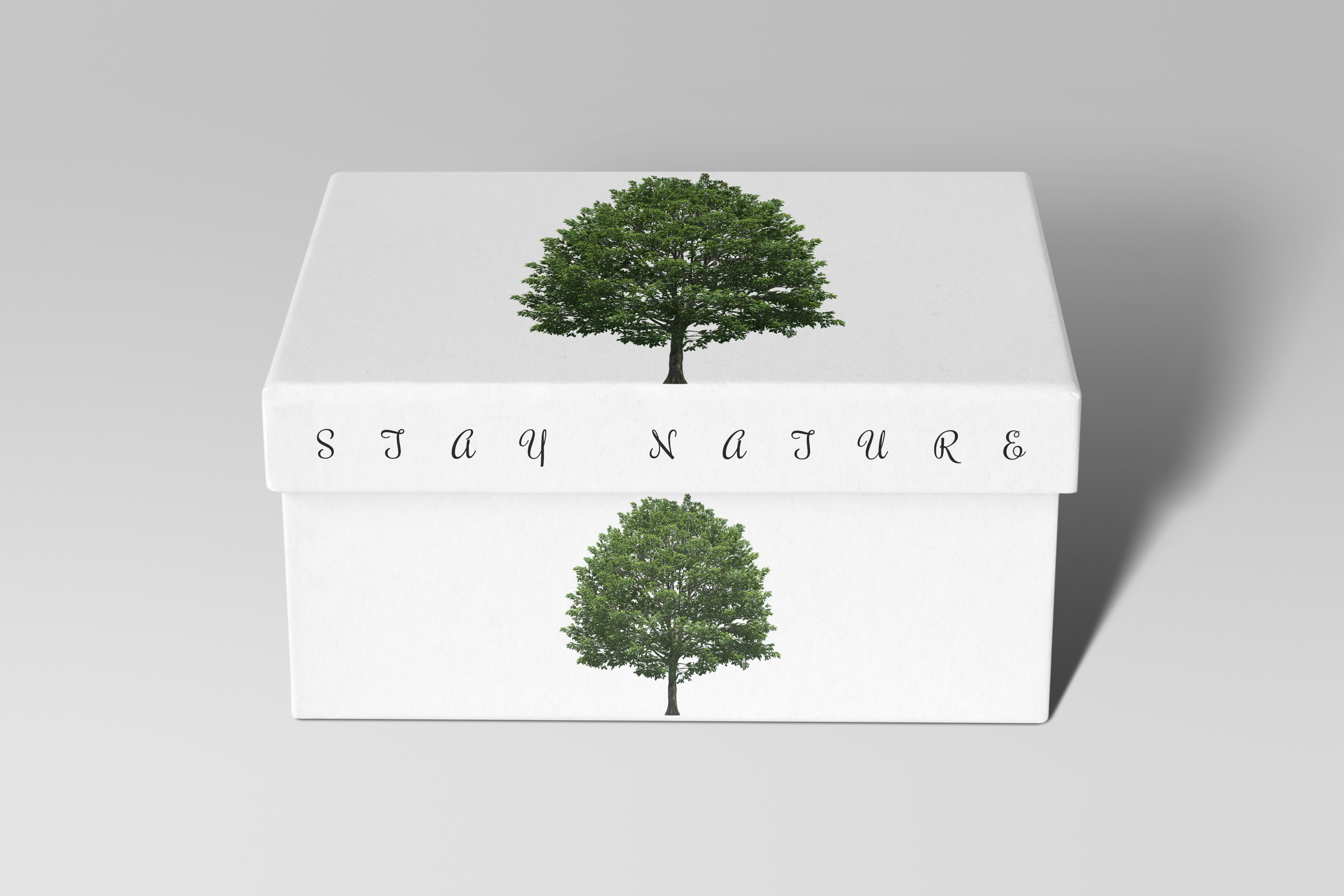 Real Tree Cliparts png, Realistic London Plane tree-6