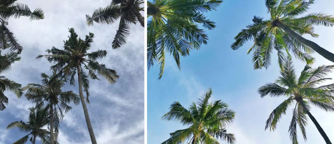 巴厘岛之旅 | 寻找设计灵感与生活平衡-27